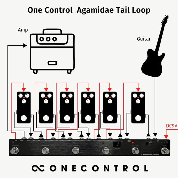 One Control Agamidae Tail 6-Loop Pedal